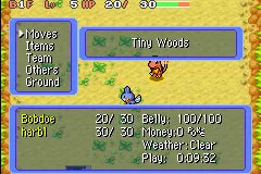 Pokémon Mystery Dungeon: Red Rescue Team (US version) - GBA spill - Retrospillkongen