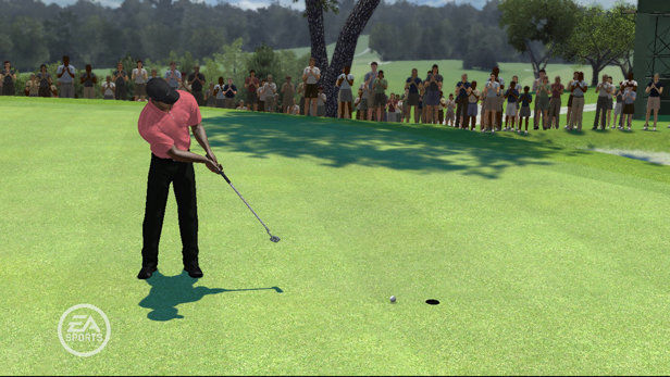 Tiger Woods PGA Tour 08 - Wii spill - Retrospillkongen