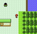 Pokemon Silver version - Game Boy Color spill - Retrospillkongen