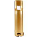 Original Gold Zelda Motion Plus Remote Kontroller - Retrospillkongen