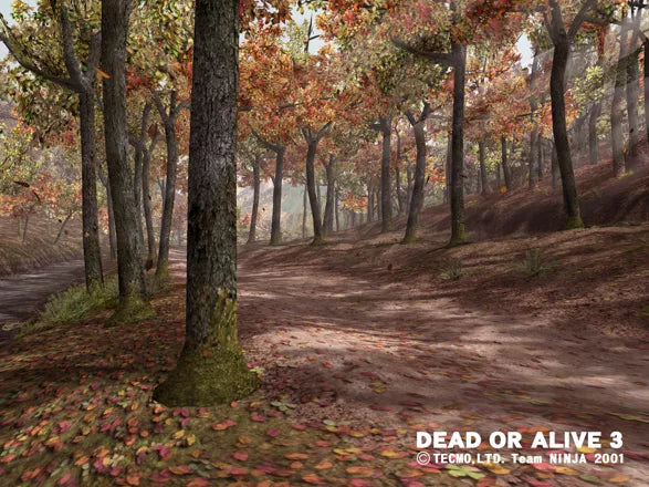 Dead or Alive 3 - Xbox spill - Retrospillkongen