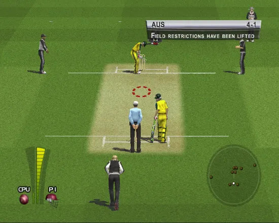 Brian Lara International Cricket 2005 - PS2 Spill