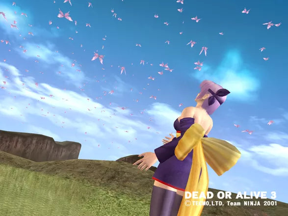 Dead or Alive 3 - Xbox spill - Retrospillkongen