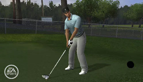 Tiger Woods PGA Tour 10 - Wii spill - Retrospillkongen
