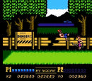 Double Dragon II: The Revenge - NES spill