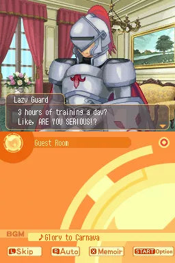 Luminous Arc 2  - Nintendo DS spill - Retrospillkongen