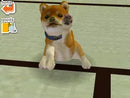 Nintendogs: Dachshund & Friends - Nintendo DS spill - Retrospillkongen