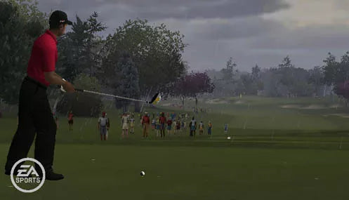 Tiger Woods PGA Tour 10 - Wii spill - Retrospillkongen