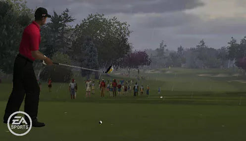Tiger Woods PGA Tour 10 - Wii spill
