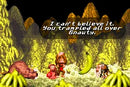 Donkey Kong Country - GBA spill