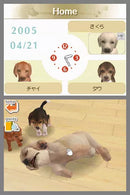 Nintendogs: Dachshund & Friends - Nintendo DS spill - Retrospillkongen