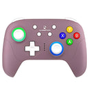 Anbernic RG P01 Kontroll for Switch og Anbernic