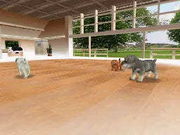 Nintendogs: Dachshund & Friends - Nintendo DS spill - Retrospillkongen