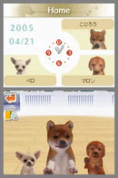 Nintendogs: Dachshund & Friends - Nintendo DS spill - Retrospillkongen