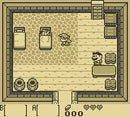The Legend of Zelda: Link's Awakening DX - Gameboy Spill