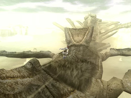Shadow of the Colossus Édition Spéciale PlayStation 2 Complet - Jeux vidéo