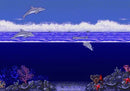 Ecco the Dolphin - SEGA Mega-CD spill