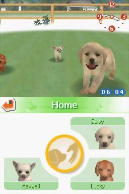 Nintendogs: Chihuahua & Friends - Nintendo DS spill - Retrospillkongen