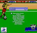 FIFA: Road to World Cup 98 - Gameboy spill