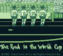FIFA: Road to World Cup 98 - Gameboy spill