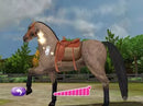Pony Friends 2 - Wii Spill - Retrospillkongen