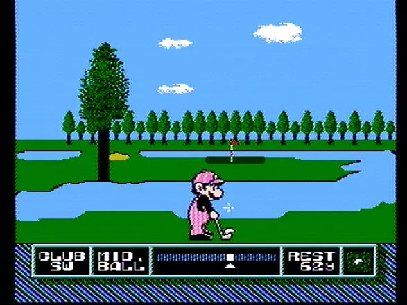 NES Open Tournament Golf - NES spill (I eske) - Retrospillkongen