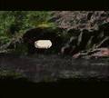 Walt Disney Pictures Presents: Dinosaur - GBC Spill