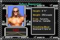 WWF Road to WrestleMania - GBA Spill