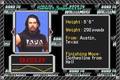 WWF Road to WrestleMania - GBA Spill
