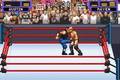 WWF Road to WrestleMania - GBA Spill