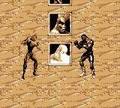 Killer Instinct - GameBoy Spill