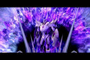 Transformers Prime: The Game - Wii Spill (Forseglet) - Retrospillkongen