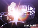 Ninja Gaiden - Microsoft Xbox spill - Retrospillkongen