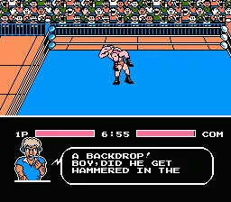 Tecmo World Wrestling - NES spill