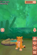 Disney Friends - Nintendo DS spill