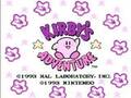 Kirby's Adventure - NES Spill