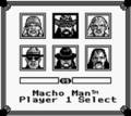 WWF Superstars 2 - GameBoy Spill