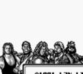 WWF Superstars - GameBoy Spill