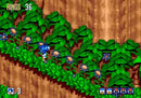 Sonic 3D: Flickies' Island - SEGA Mega Drive spill