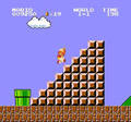 Super Mario Bros. Tetris, Nintendo World Cup - NES spill