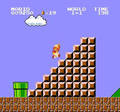 Super Mario Bros. Tetris, Nintendo World Cup - NES spill