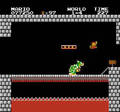 Super Mario Bros. Tetris, Nintendo World Cup - NES spill