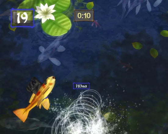 Ninja Reflex - Nintendo DS spill