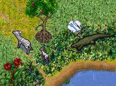 SimAnimals: Africa - Nintendo DS spill - Retrospillkongen