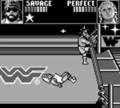 WWF Superstars - GameBoy Spill