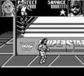 WWF Superstars - GameBoy Spill