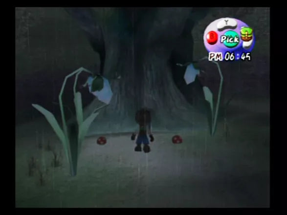 Harvest Moon: A Wonderful Life - GameCube spill - Retrospillkongen