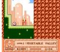 Kirby's Adventure - NES Spill