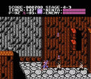 Shadow Warriors - NES spill
