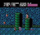 Shadow Warriors - NES spill